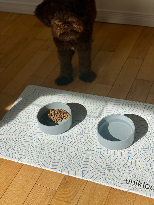 Dog standing on a patterned mat with two bowls, one of which contains food.