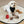Load image into Gallery viewer, Black Pet Bandana Bib — Sleek &amp; Minimalist
