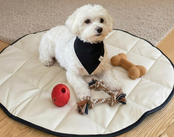 Black Pet Bandana Bib — Sleek & Minimalist