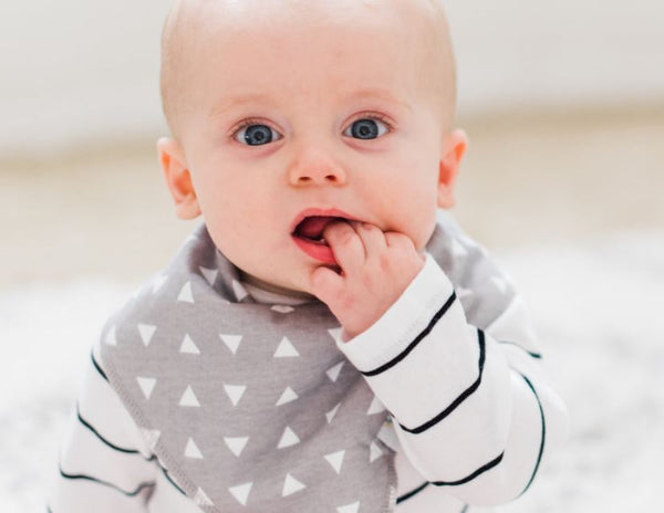 Joe Bibs + Burp cloths
