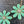 Load image into Gallery viewer, Mint Green Trio Flower Necklace

