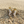 Load image into Gallery viewer, Pair of seahorse-shaped earrings on sand with starfish and shells.
