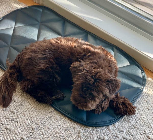 DOG TRAVEL BED | 16"x30" | Navy Blue