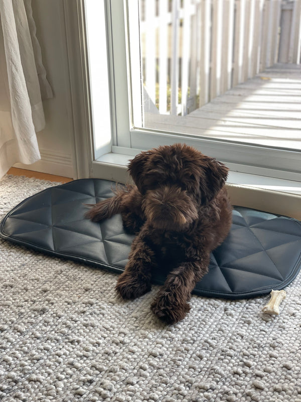 DOG TRAVEL BED | 16"x30" | Navy Blue