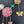 Load image into Gallery viewer, Romantic Flower Statement necklace
