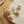 Load image into Gallery viewer, Two Pearl Jacket Earrings
