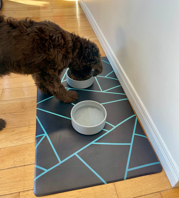 Vegan Leather Pet Food Mat — Avant-Garde Teal