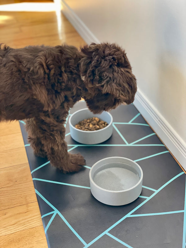 Vegan Leather Pet Food Mat — Avant-Garde Teal