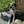 Load image into Gallery viewer, Dalmatian dog sitting on a cushioned chair outdoors with greenery in the background

