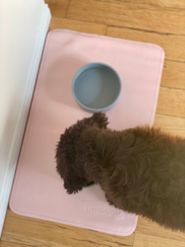 Vegan Leather Pet Food Mat — 22"x14" | Pink