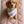 Load image into Gallery viewer, Small dog wearing a colorful bandana sitting on a pink quilted mat.
