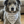 Load image into Gallery viewer, Dog wearing an alphabet patterned bandana sitting on a carpeted floor.
