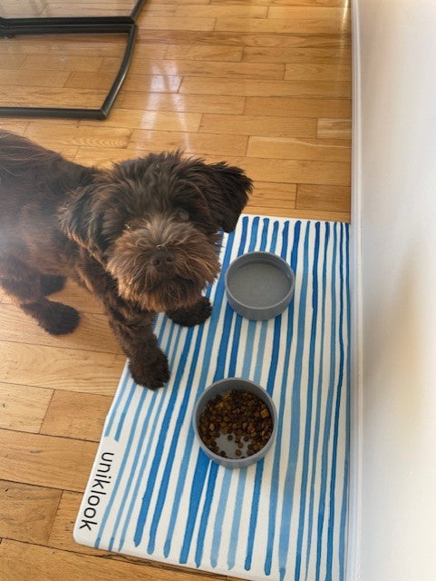 Dog standing on a striped mat with two bowls, one containing food, on a wooden floor.