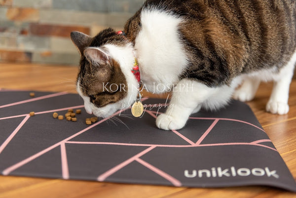 Vegan Leather Pet Food Mat — Avant-Garde Pink