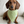 Load image into Gallery viewer, Dachshund wearing a green bandana sitting on a white couch
