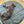 Load image into Gallery viewer, Dog lying on a round, quilted mat on a wooden floor
