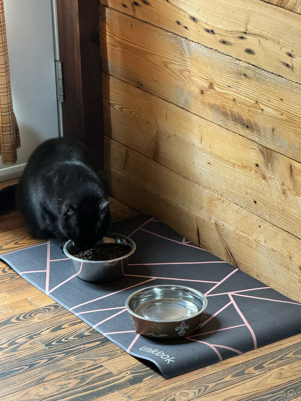 Vegan Leather Pet Food Mat — Avant-Garde Pink