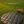 Load image into Gallery viewer, Round waterproof ground shield on grass with a picnic basket in the background
