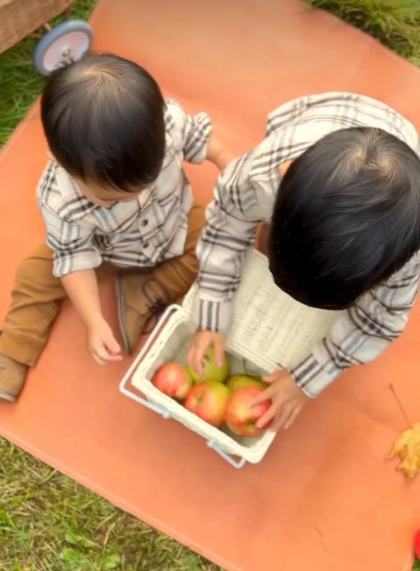 Two children with a basket of apples on an orange blanket outdoors.