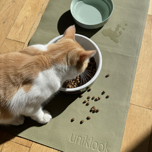 Cat eating from a bowl on a 'uniklook' mat with water bowl in the background