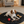 Load image into Gallery viewer, Dog lying on a black mat with toys in a cozy living room.
