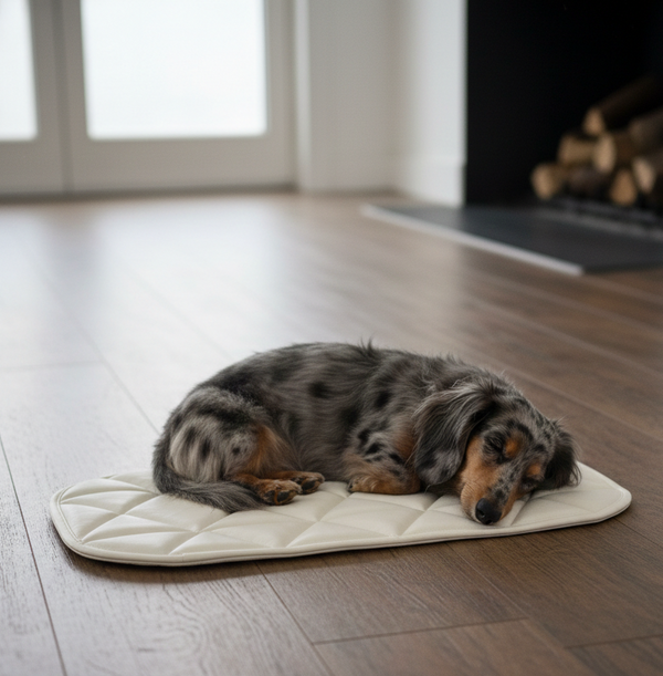 TRAVEL DOG BED | 16"x30" | Cream