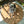 Load image into Gallery viewer, Dalmatian dog sitting on a round brown quilted mat outdoors.
