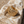 Load image into Gallery viewer, Gold ring with intricate design on a textured stone surface
