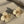 Load and play video in Gallery viewer, Cream flower Statement earrings
