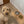 Load and play video in Gallery viewer, Vegan Leather Pet Food Mat — Cheetah Print
