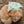 Load and play video in Gallery viewer, Cactus Pet Bandana Bib — Mint Green Print
