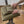 Load and play video in Gallery viewer, Vegan Leather Mini Mat — Green &amp; Tan
