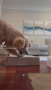 uNIKLOOK TERRAZZO PINK VEGAN LEATHER PET FOOD MAT UNBOXING