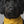 Load and play video in Gallery viewer, Khaki Pet Bandana Bib — Neutral Tone Pet Accessory

