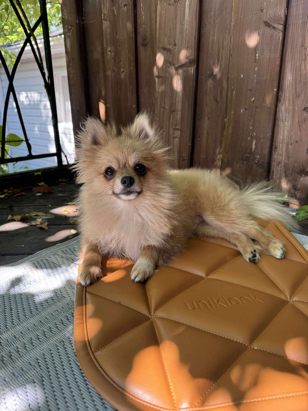 Vegan Leather Travel Dog Bed — Amber