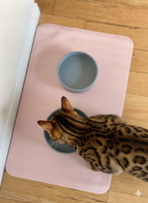 Cat drinking from a blue bowl on a pink mat with 'unif?gals' branding.
