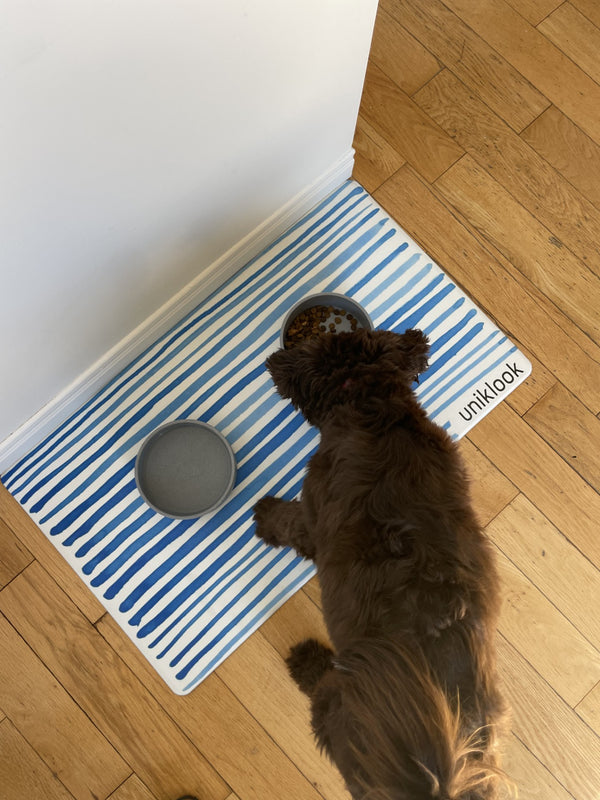 Dog standing on a blue and white striped rug with 'unikook' branding on a wooden floor.