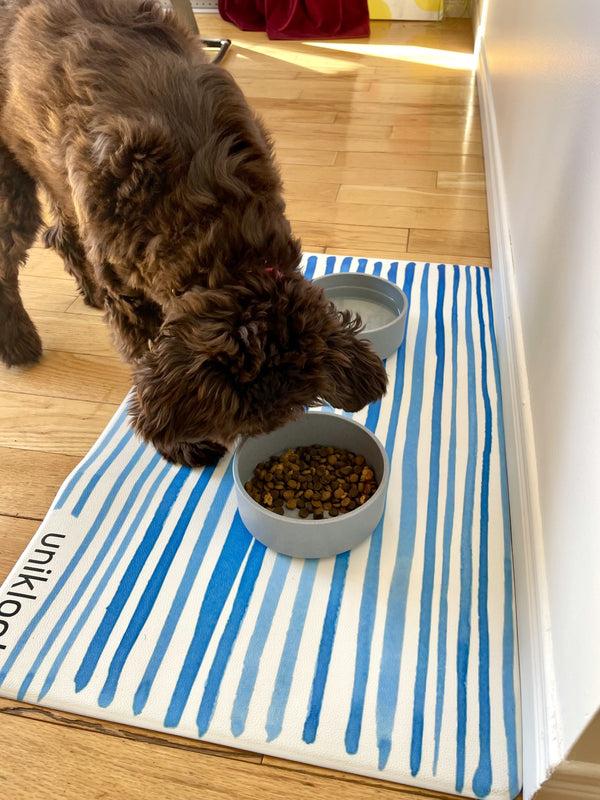 Dog eating from a bowl on a blue and white striped mat