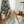 Load image into Gallery viewer, Child standing next to a wooden climbing toy in a room with a decorated Christmas tree.

