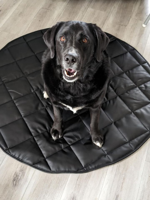 TRAVEL DOG BED | 47" | BLack +Cream