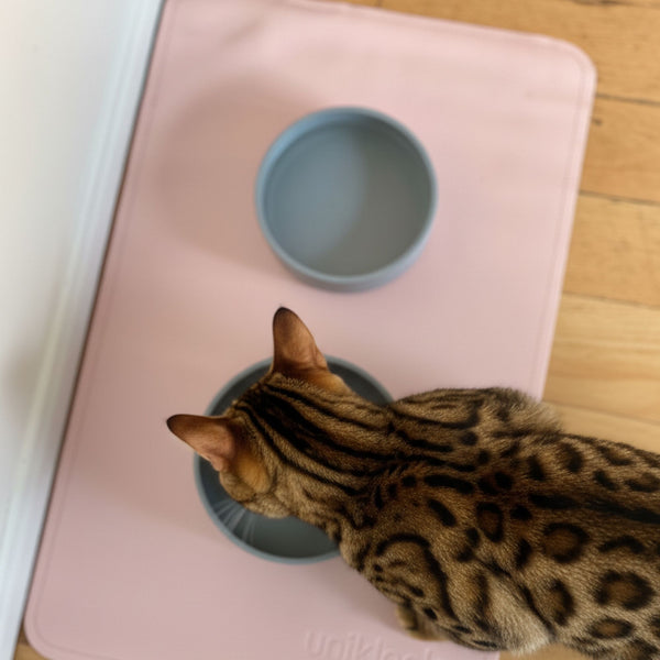 Vegan Leather Pet Food Mat — 22"x14" | Pink