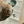 Load image into Gallery viewer, Dog eating from a bowl on a 'unikook' mat with another bowl in the background.
