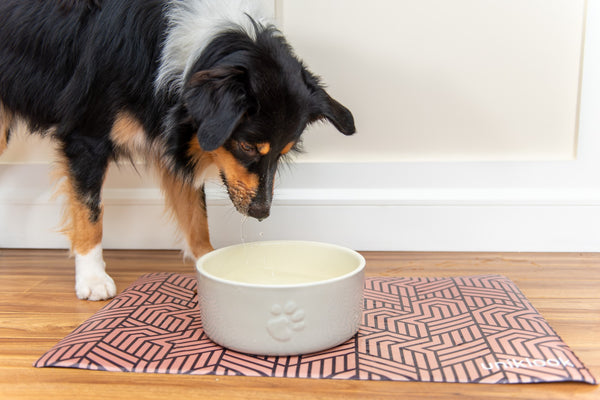 Vegan Leather Pet Food Mat — Elegant Design