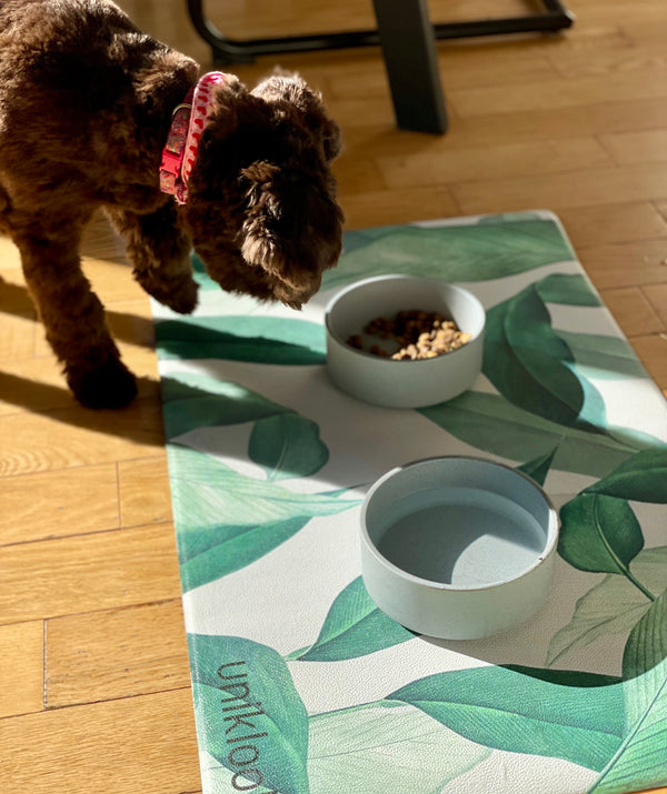Vegan Leather Pet Food Mat — Outside Leaf Print