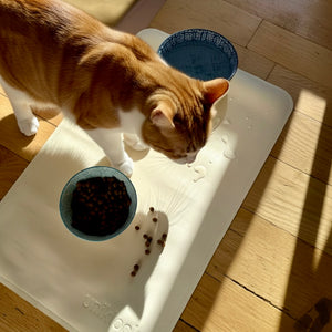 Cat eating from a bowl on a mat with a blue bowl in the background