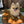 Load image into Gallery viewer, Small dog sitting on a brown cushion with a geometric pattern
