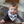 Load image into Gallery viewer, A baby lying on a floor wearing a gray long-sleeve top and a black and white bandana bib with a bow tie.
